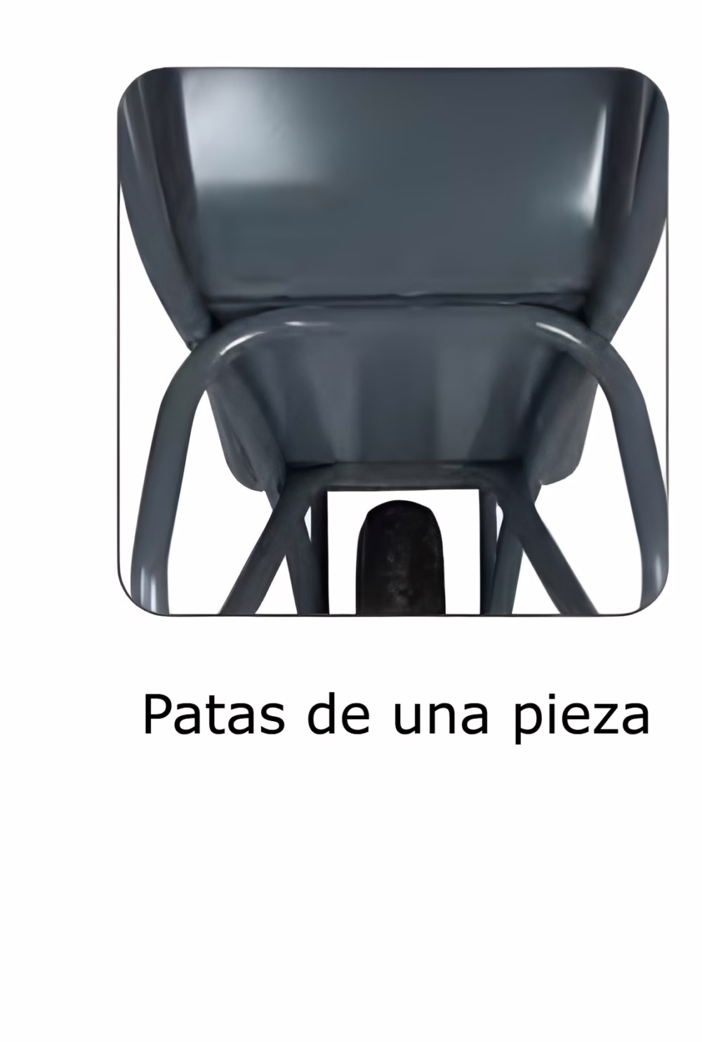 Carretilla F1 EVO